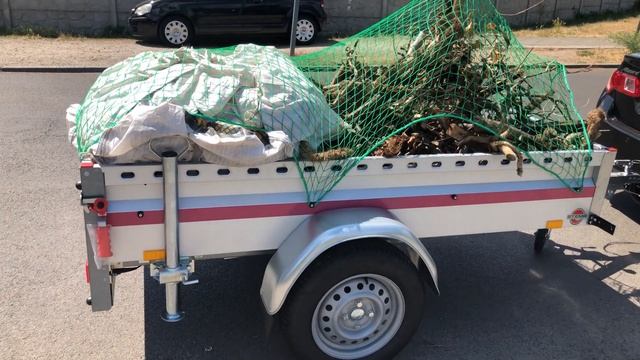 Что делать с живой изгородью? | КУПИЛ ДАЧУ В ГЕРМАНИИ #4 смотреть онлайн