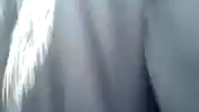 Нашли хозяина собаки смотреть онлайн