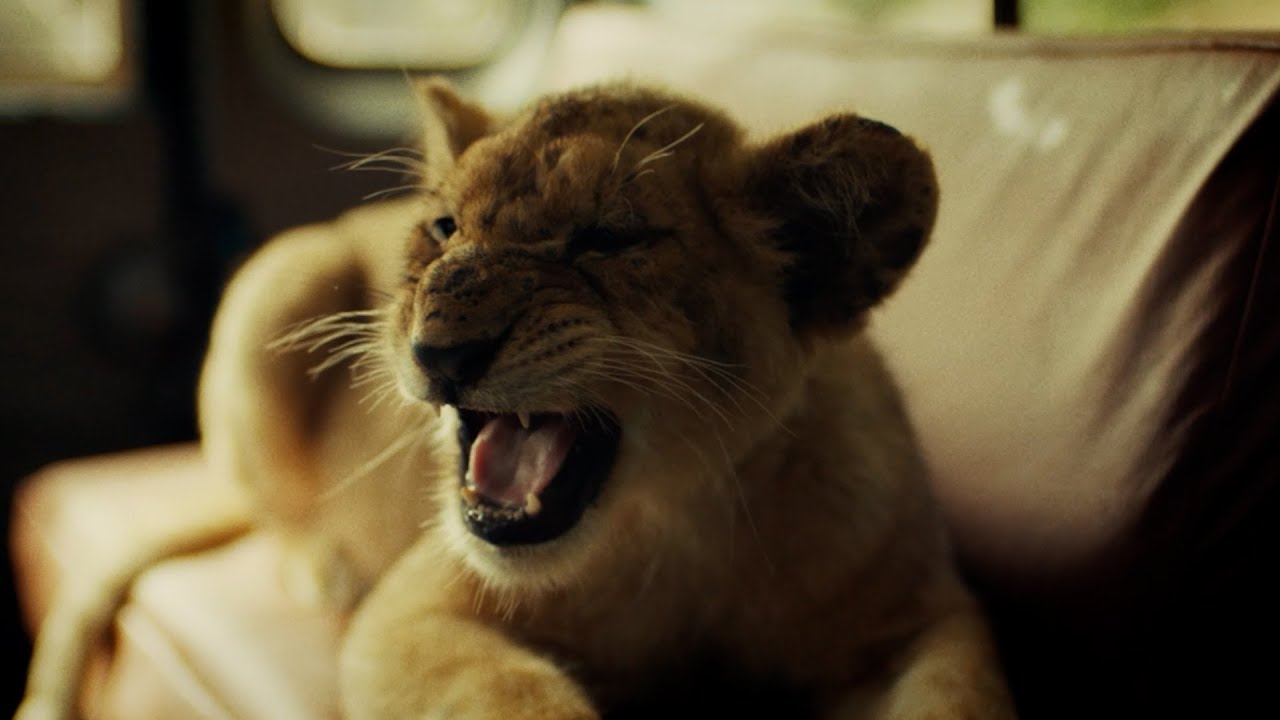 Король львенок - Русский трейлер (2023) (720p) смотреть онлайн