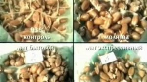 Влияние мата на воду