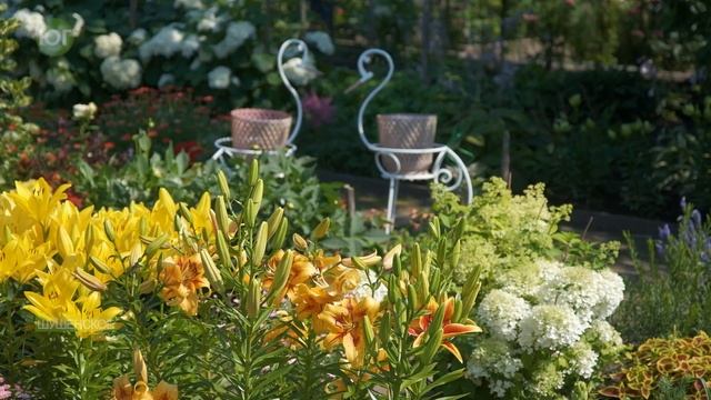 День посёлка смотреть онлайн