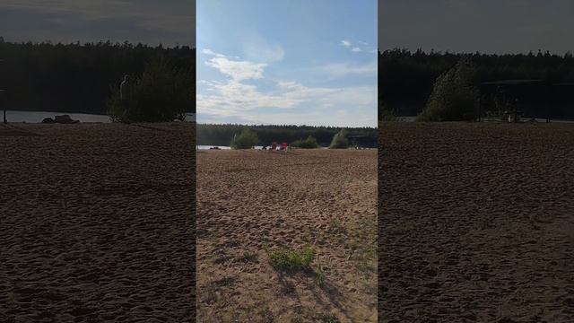 Искусство Гастрономии