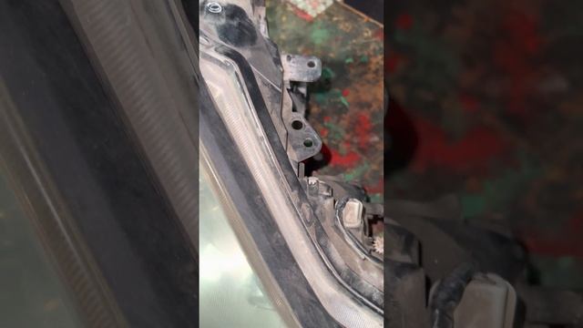 Фара ниссан фуга Инфинити м35 +77006891915 ALDI MART