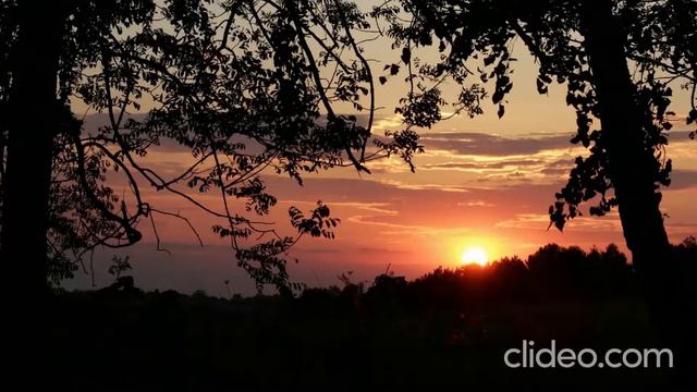 Украинская песня "Черемшына" в моëм исполнении. смотреть онлайн