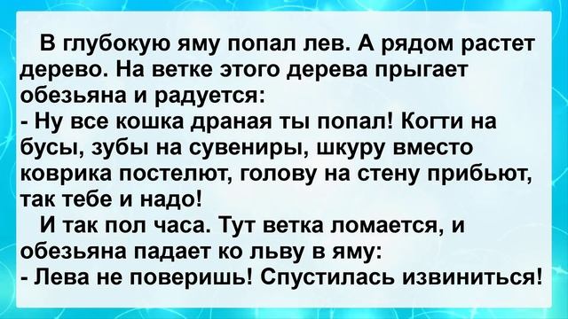 Проснулся Мужик с бодуна...! Подборка Жизненных и Пикантных Анекдотов для Настроения! смотреть онлайн