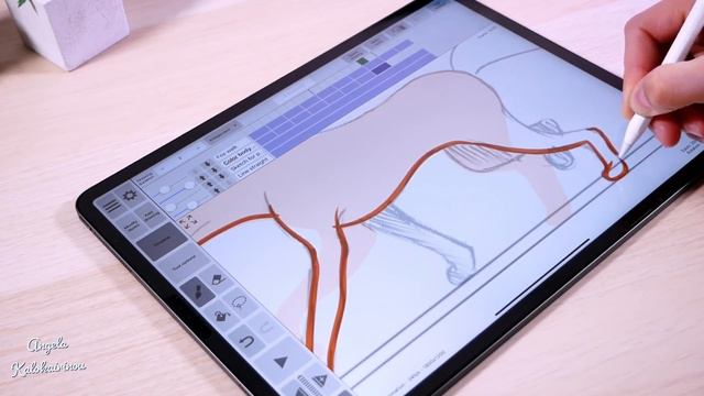 Animation Fox 🦊 ( Walk Cycle ) With New iPad Pro | Rough Animator App смотреть онлайн