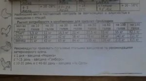 Программа  выращивания  бройлеров .