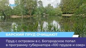 Пруд с островом в с. Богородское попал в программу губернатора «100 прудов и озер»