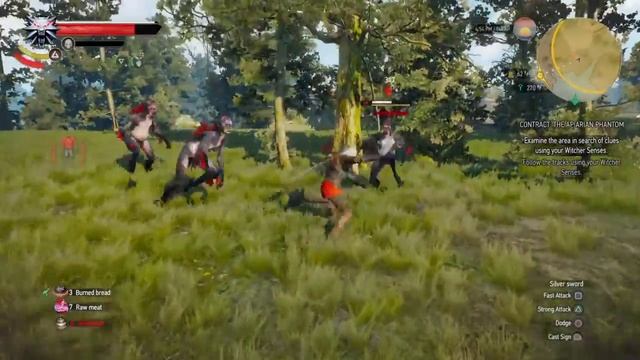 The Witcher 3 - Crazy Dodge Skills Against High Level Drowners смотреть онлайн