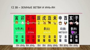 10 НЕБЕСНЫХ СТВОЛОВ, 12 ЗЕМНЫЕ ВЕТВИ И ИНЬ-ЯН И 5 ЭЛЕМЕНТОВ  / урок 4