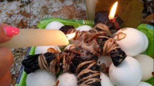 ОБЪЯВИТСЯ НАПИШЕТ ПОЗВОНИТ #ритуал #онлайн Светлана ВЕДА