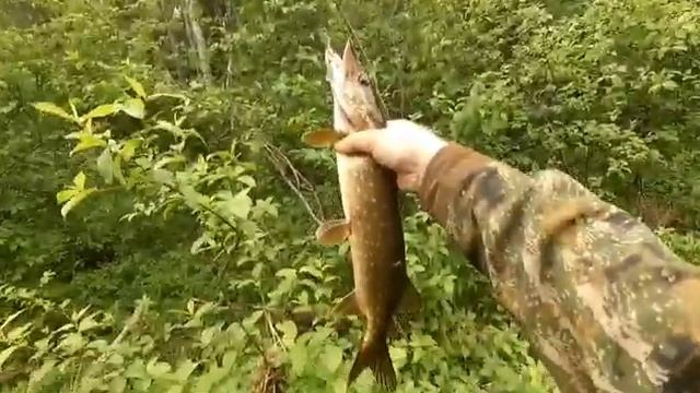 РЫБАЛКА НА СПИННИНГ С БЕРЕГА! ОТКРЫТИЕ СЕЗОНА РЫБАЛКИ! смотреть онлайн