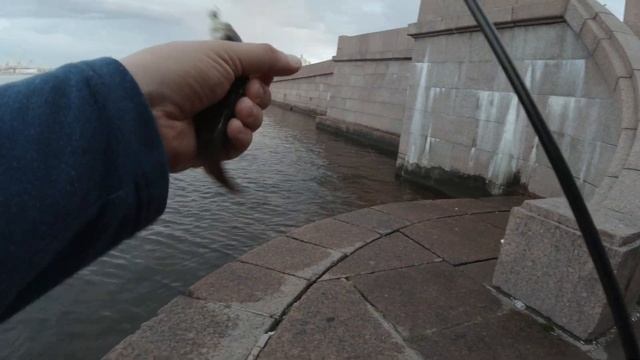 #430 #streetfishing | Ловля окуня и плотвы на Неве |