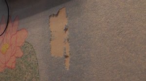 Ремонт ЖИДКИХ ОБОЕВ