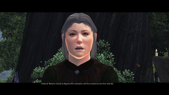 Elder Scrolls IV: Oblivion (PC) with no commentary playthrough day 15 смотреть онлайн