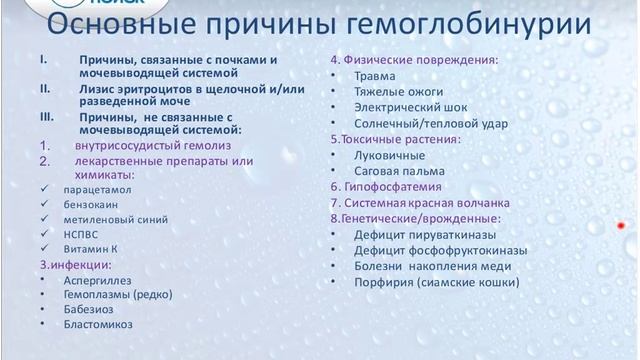 Вебинар на тему: "Исследование мочи. Что еще кроме общего анализа?". Лектор - Светлана Шишканова смотреть онлайн