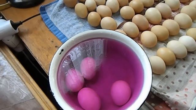 Мероприятия перед началом инкубации смотреть онлайн