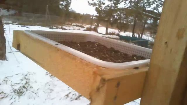 2021 Jan 18: Live stream #1 bird feeding station. Ripley, Ontario Canada by AtHomeFriendlyTecGuy смотреть онлайн