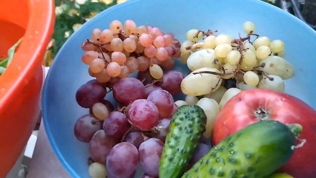 Фотоискусство и Эстетика