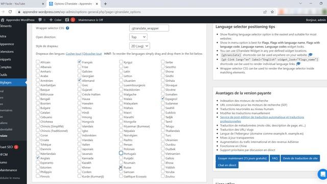 Comment Traduire automatiquement un site Wordpress avec le Plugin Gtranslate смотреть онлайн