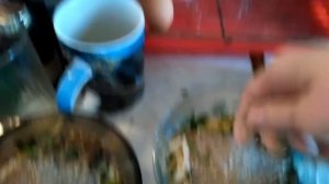 Чем кормить ЦЫПЛЯТ с 7—30 дней  | РАЦИОН ПИТАНИЯ НЕДЕЛЬНЫХ ЦЫПЛЯТ