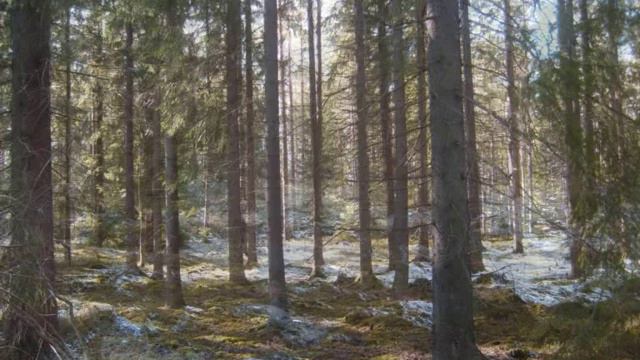 Jan Johansson - Brudmarsch från Boda смотреть онлайн