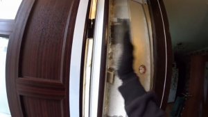 Входные пластиковые двери + Что нужно знать для правильного выбора ПВХ дверей