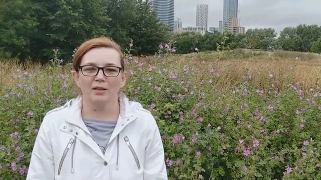 Учимся Вместе - Тема: Дикие Звери и Птицы. О Голубях смотреть онлайн