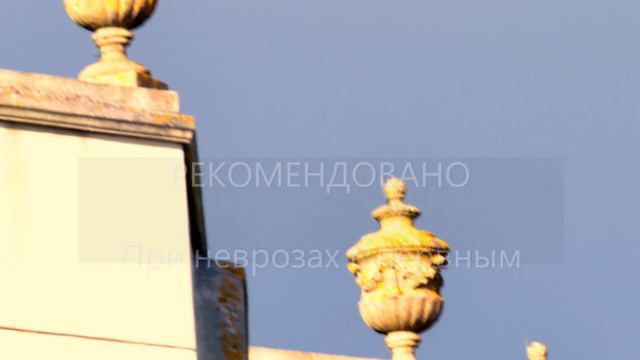 Сбор № 308. При неврозах с нервным истощением. смотреть онлайн