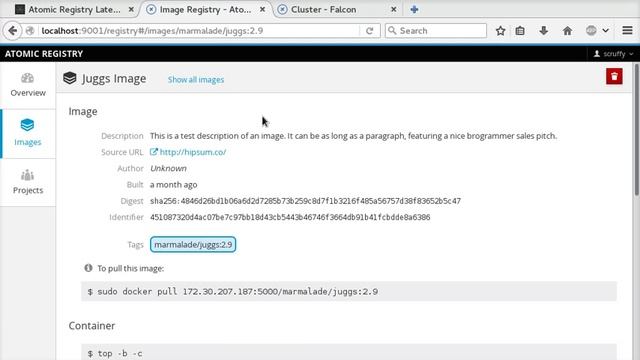 Atomic Image Registry User Interface смотреть онлайн