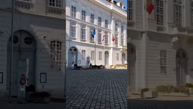 Экскурсия в Вене Имперская Вена | История Австрии | #vladanikiforova смотреть онлайн