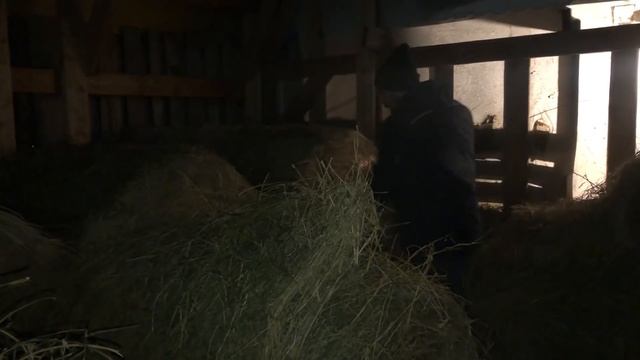 ПОДЗЕМНЫЙ КУРЯТНИК! КАК ЗАСТАВИТЬ КУР НЕСТИСЬ КРУГЛЫЙ ГОД? КАК ОПРЕДЕЛИТЬ НЕСЕТСЯ КУРИЦА ИЛИ НЕТ? смотреть онлайн