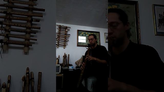 B-Minor Pentatonic Bass Flute смотреть онлайн