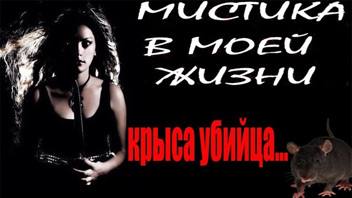 Мистика в моей жизни! #3 КРЫСЫ ЛЮДОЕДЫ, НА ДОМ НАПАЛИ КРЫСЫ смотреть онлайн