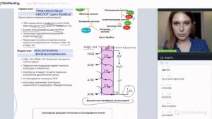 Энергетический обмен. Гликолиз кислородный этап. Биология ЕГЭ 2023. Бесплатный веб в описании 👇🏼