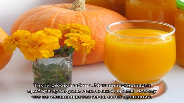 Как выбрать соковыжималку? На что обращать внимание? смотреть онлайн