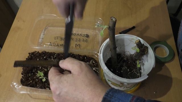 Инжир укоренение дома 3 ч 21 смотреть онлайн