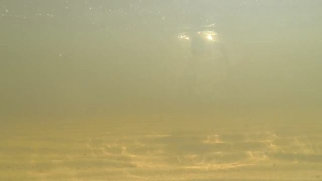 Ловля на фидер весной. Прикормка для холодной воды. смотреть онлайн