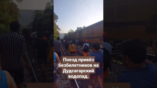 Поезд что идёт рядом с Дудсагарским водопадом на ГОА, останавливается лишь на минуту. смотреть онлайн
