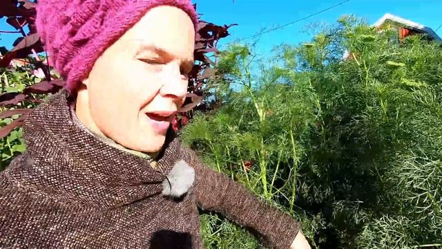 Pallkrage del 6: Skörda blommor смотреть онлайн
