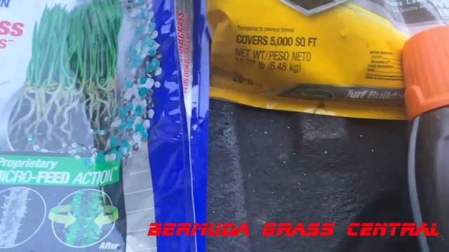 Killing Crabgrass late Summer Early Fall, plus Quinclorac 75 DF Ugly lawn fix смотреть онлайн