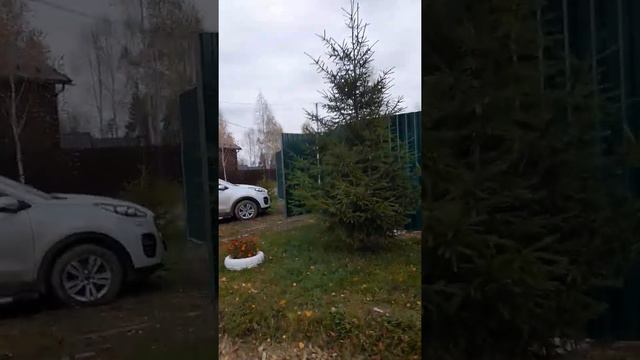 Обзор дачи в Лыткино смотреть онлайн