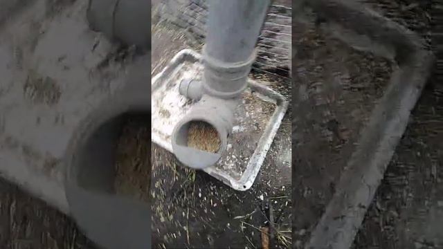 Бункерная кормушка для взрослой птицы. Просто, дёшево, сердито! смотреть онлайн
