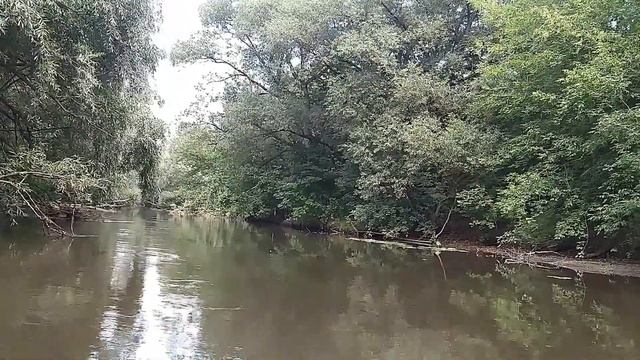 ПВД по Пахре на байдарке. смотреть онлайн