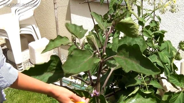 Строительная Мозголомка