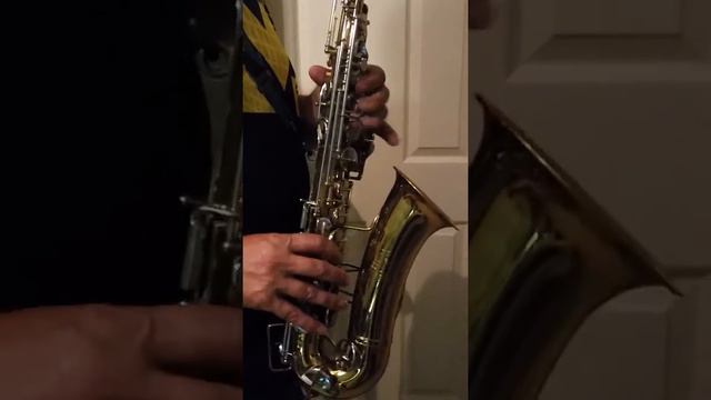 Bundy by Selmer Alto Sax смотреть онлайн