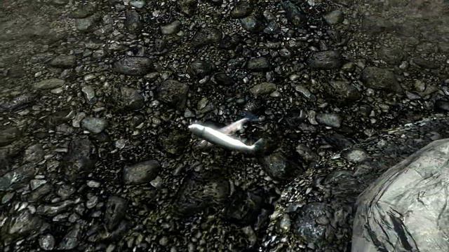 Humping Fish смотреть онлайн