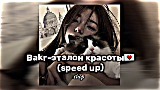 Bakr - эталон красоты 💌 (speed up version) | ты только ты эталон красоты смотреть онлайн