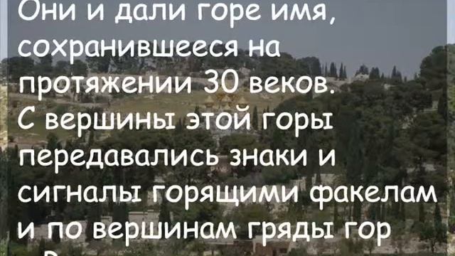 Масличная гора - духовные высоты Израиля смотреть онлайн