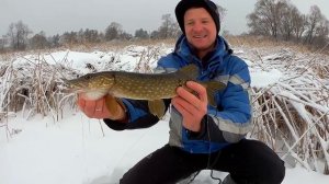 Как ловить щуку на жерлицы? Ловля щуки на жерлицы зимой от А до Я!